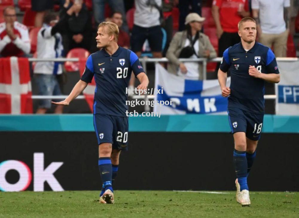 芬兰1-0力克乌克兰,晋级希望重现曙光 芬兰1-0力克乌克兰,晋级希望重现曙光