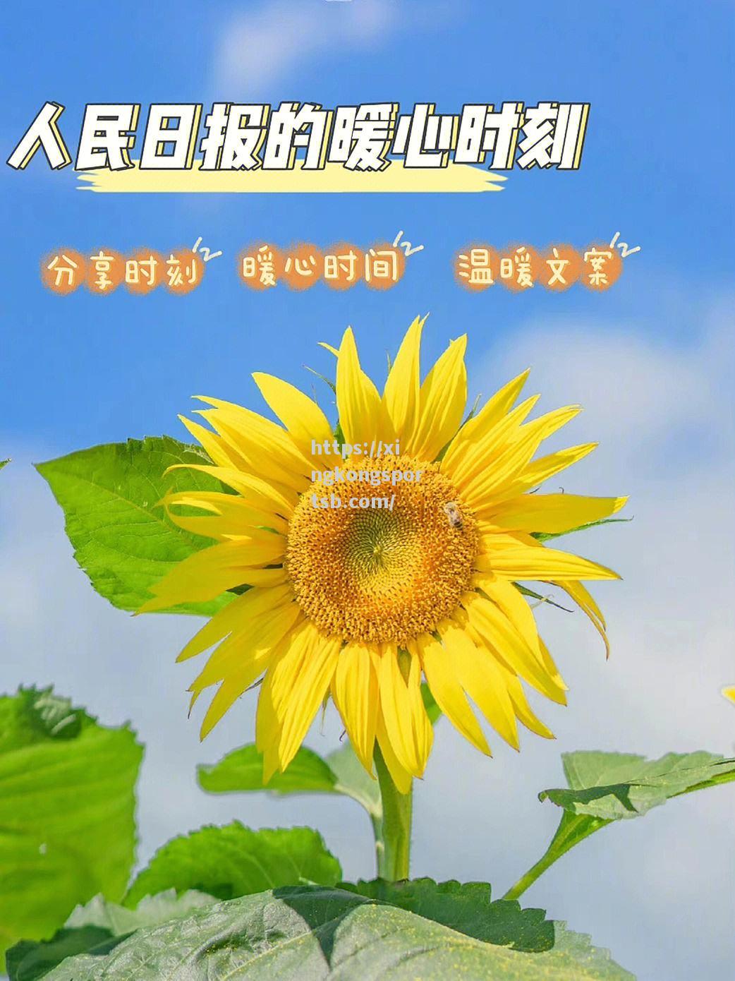 让我们竭尽全力为心仪的球队加油鼓劲,共同见证胜利的时刻 让我们竭尽全力为心仪的球队加油鼓劲,共同见证胜利的时刻